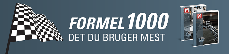 Formel 1000